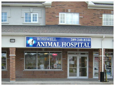 Rosswell Animal Hospital